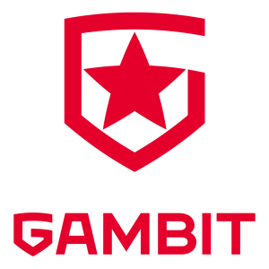 Gambit Y.